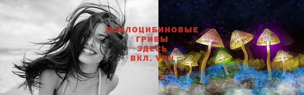 мяу мяу мука Аркадак