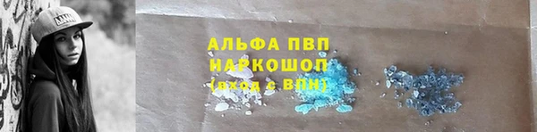 мяу мяу мука Аркадак