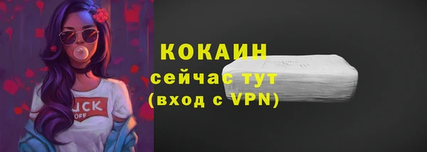 мяу мяу мука Аркадак