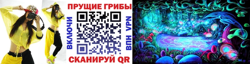 Псилоцибиновые грибы Psilocybine cubensis  Нововоронеж 